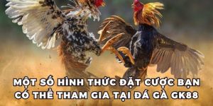 Một số hình thức đặt cược bạn có thể tham gia tại đá gà GK88
