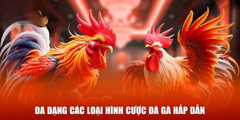 Đa dạng các loại hình cược đá gà hấp dẫn