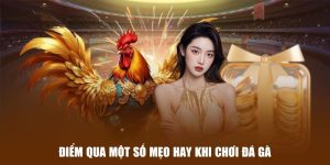 Điểm qua một số mẹo hay khi chơi đá gà